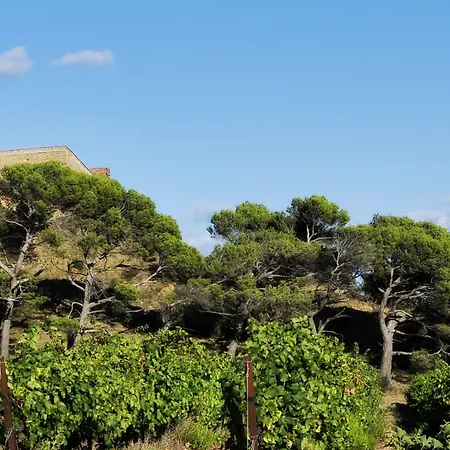 Chateau De Jonquieres